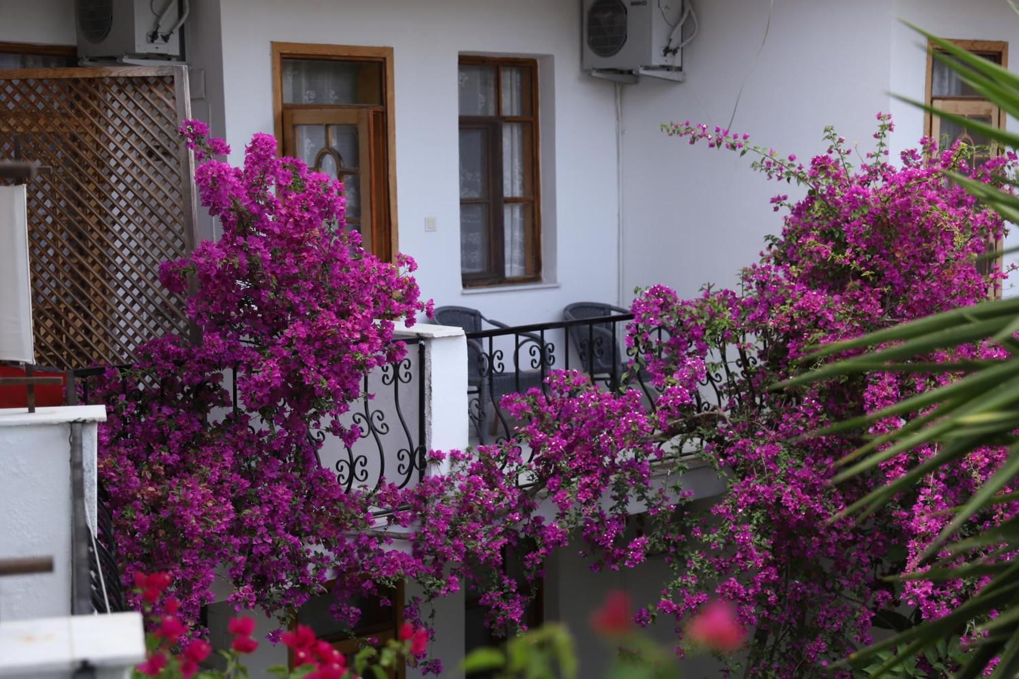 Yeni Doga Hotel 달리안 외부 사진