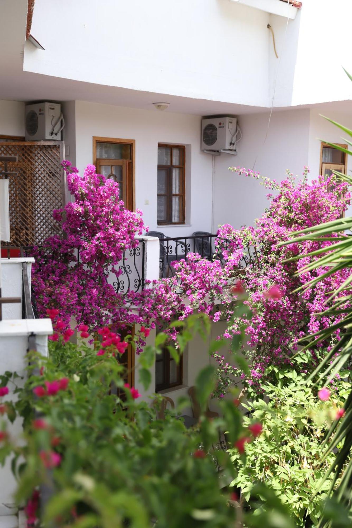 Yeni Doga Hotel 달리안 외부 사진